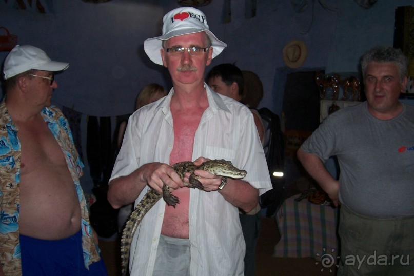 Египет часть 8: Асуан: экскурсия в Ботанический сад на острове Китченера и Нубийскую деревню