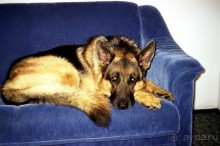 Третья поездка в Германию на автомобиле: Снова тянет в Берлин