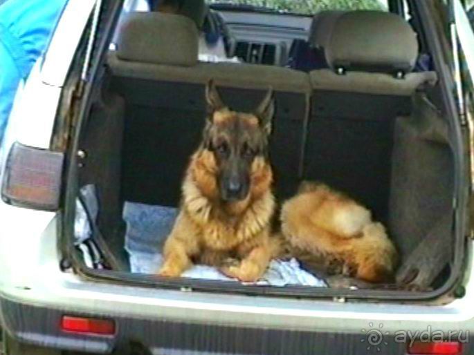 Третья поездка в Германию на автомобиле: Снова тянет в Берлин