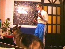 Третья поездка в Германию на автомобиле: Снова тянет в Берлин