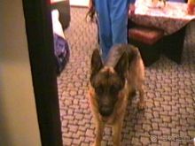 Третья поездка в Германию на автомобиле: Снова тянет в Берлин