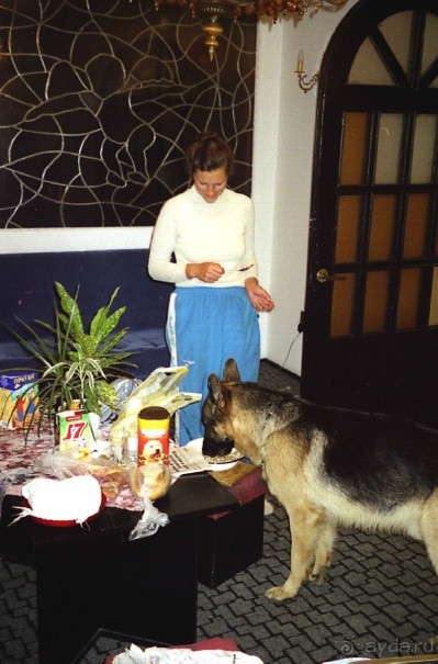 Третья поездка в Германию на автомобиле: Снова тянет в Берлин