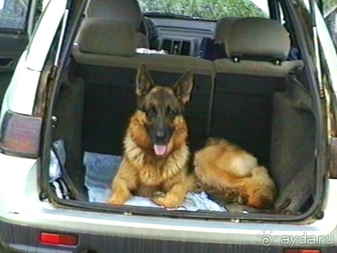 Третья поездка в Германию на автомобиле: Снова тянет в Берлин