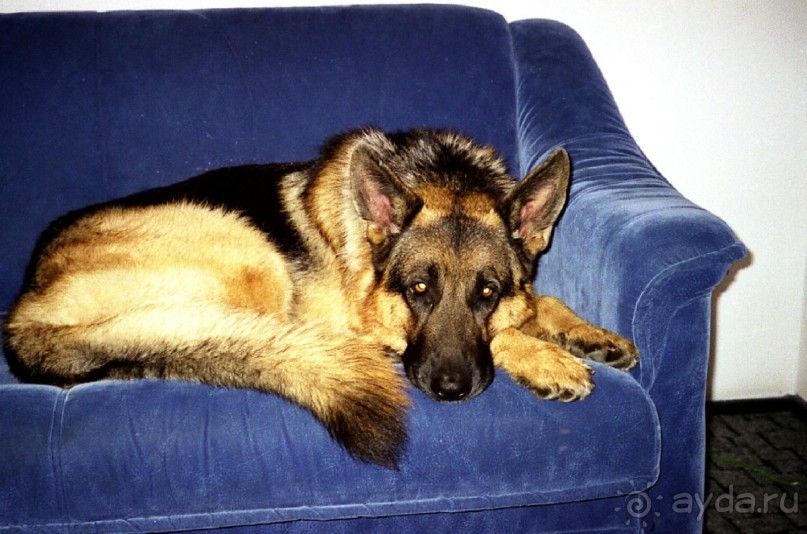 Третья поездка в Германию на автомобиле: Снова тянет в Берлин