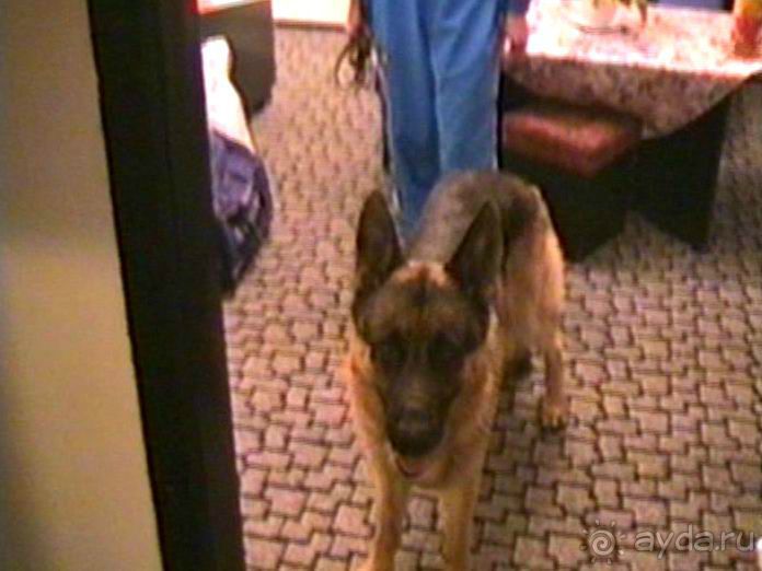 Третья поездка в Германию на автомобиле: Снова тянет в Берлин