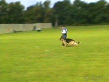 Альбом отзыва "Окончание Зигера в Дюссельдорфе и возвращение домой"