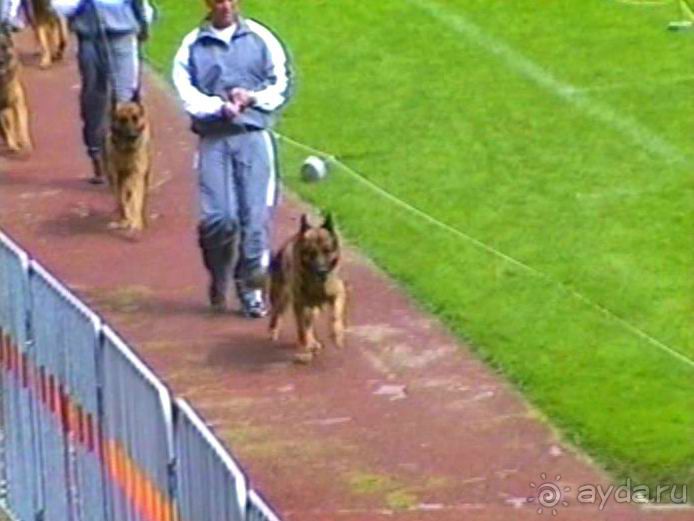 Окончание Зигера в Дюссельдорфе и возвращение домой