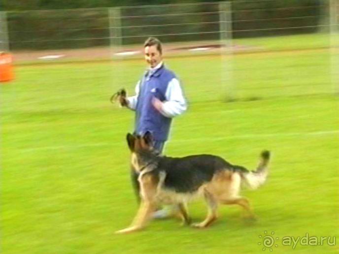 Окончание Зигера в Дюссельдорфе и возвращение домой