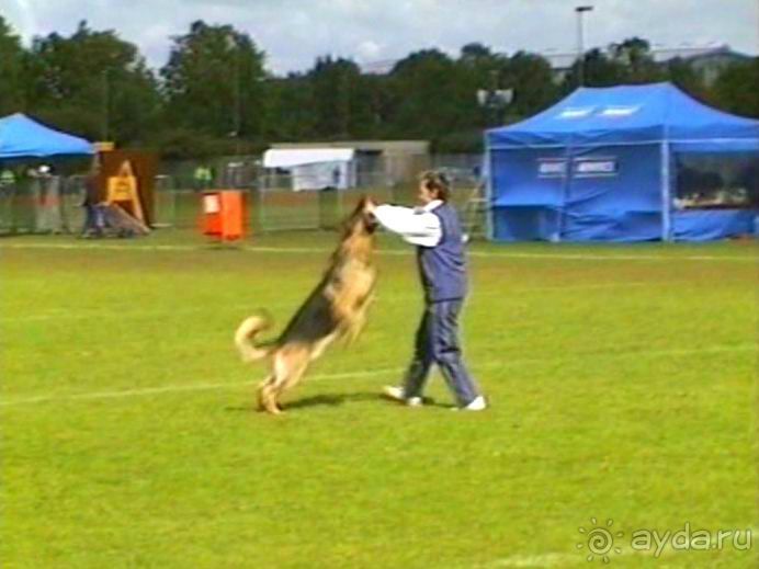 Окончание Зигера в Дюссельдорфе и возвращение домой