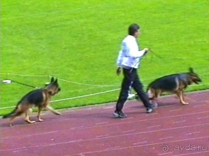 Окончание Зигера в Дюссельдорфе и возвращение домой