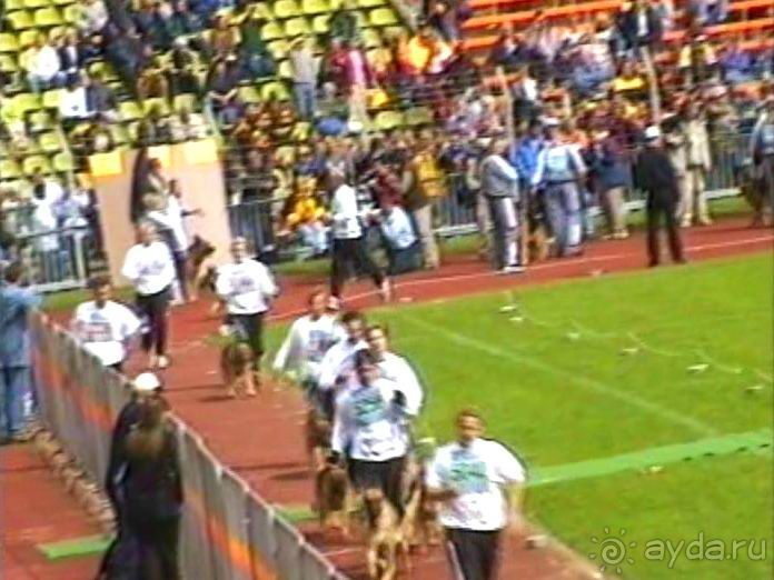 Окончание Зигера в Дюссельдорфе и возвращение домой