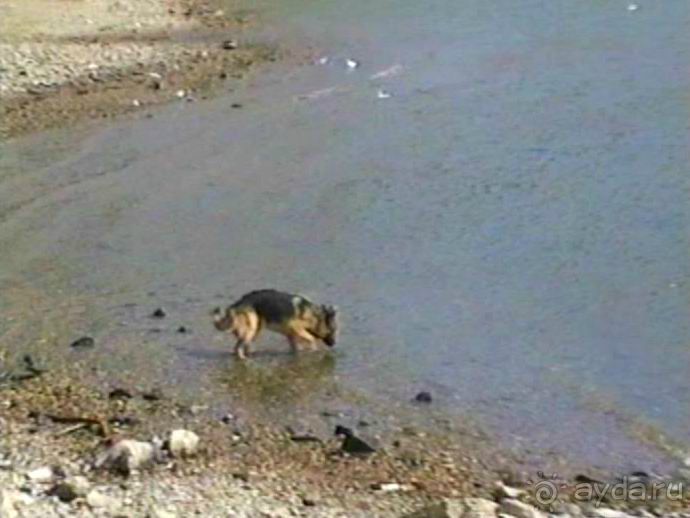 Окончание Зигера в Дюссельдорфе и возвращение домой