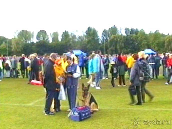 Окончание Зигера в Дюссельдорфе и возвращение домой