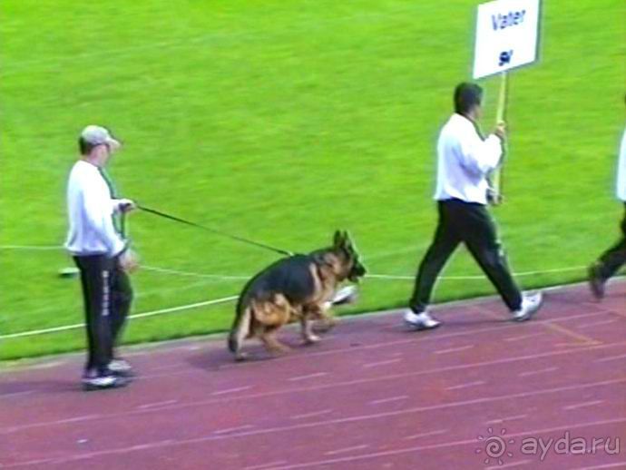 Окончание Зигера в Дюссельдорфе и возвращение домой