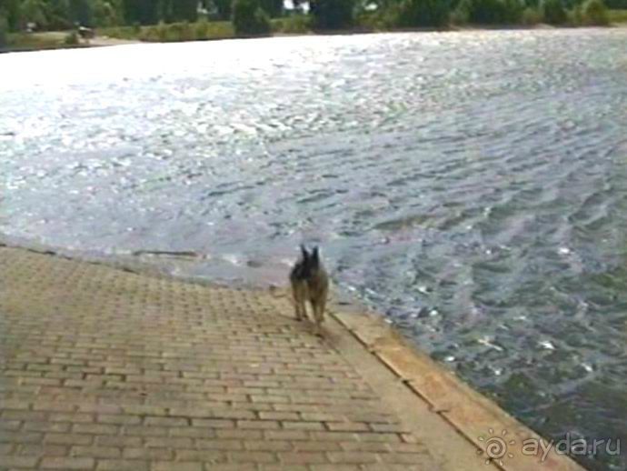 Окончание Зигера в Дюссельдорфе и возвращение домой