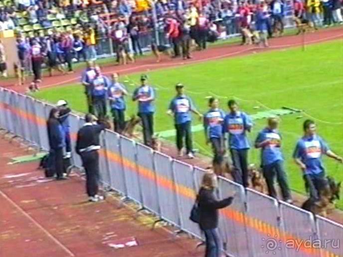 Окончание Зигера в Дюссельдорфе и возвращение домой