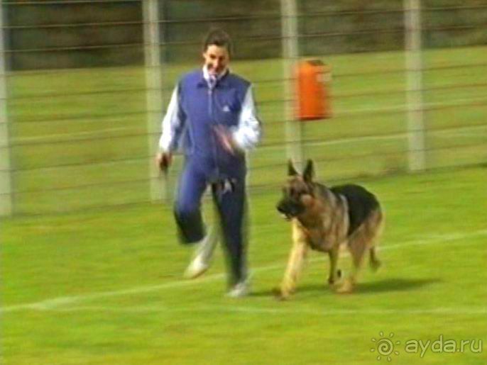 Окончание Зигера в Дюссельдорфе и возвращение домой