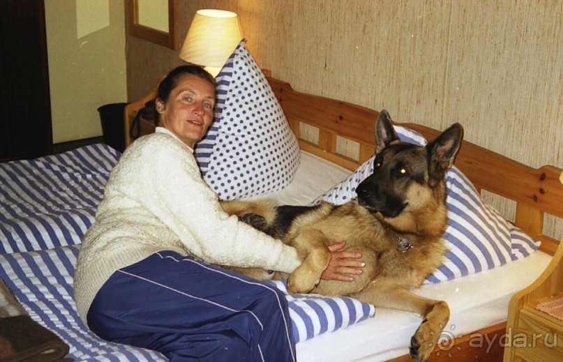 Окончание Зигера в Дюссельдорфе и возвращение домой