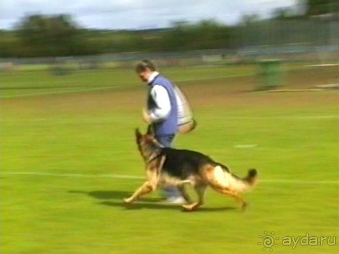 Окончание Зигера в Дюссельдорфе и возвращение домой