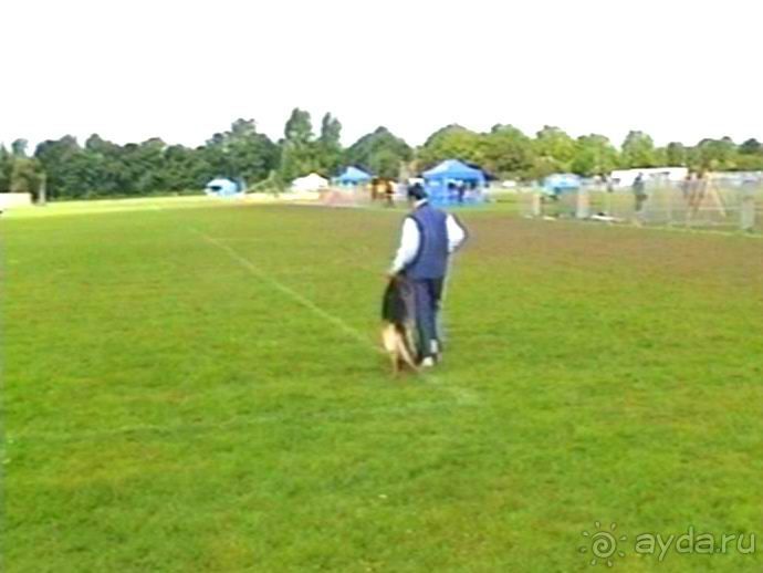 Окончание Зигера в Дюссельдорфе и возвращение домой