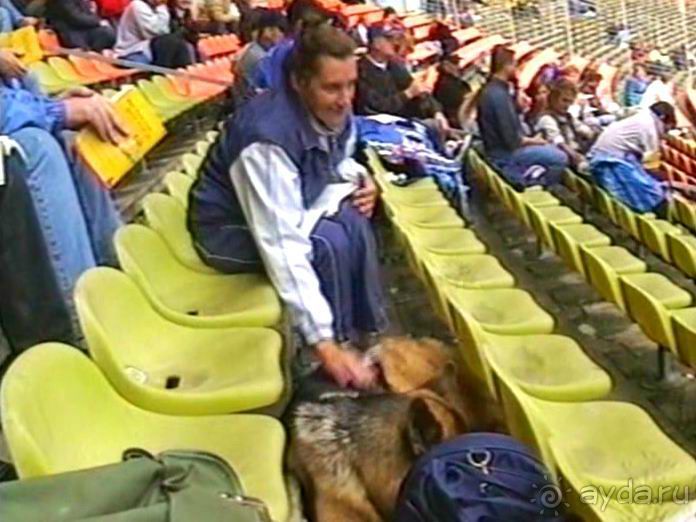 Окончание Зигера в Дюссельдорфе и возвращение домой