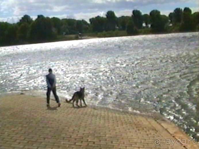 Окончание Зигера в Дюссельдорфе и возвращение домой