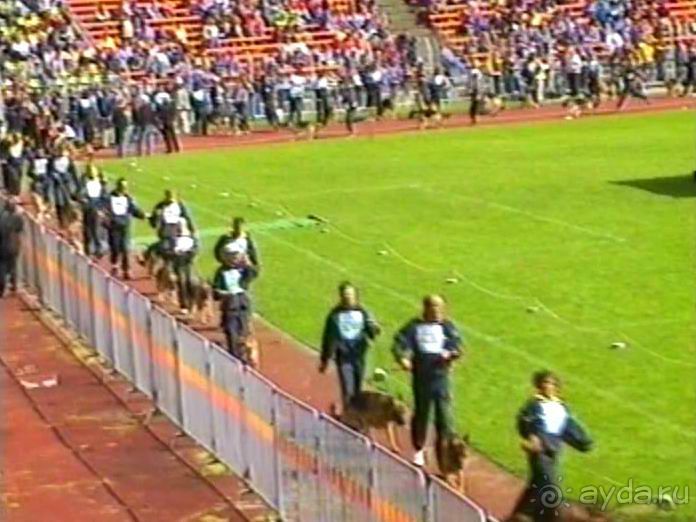 Окончание Зигера в Дюссельдорфе и возвращение домой