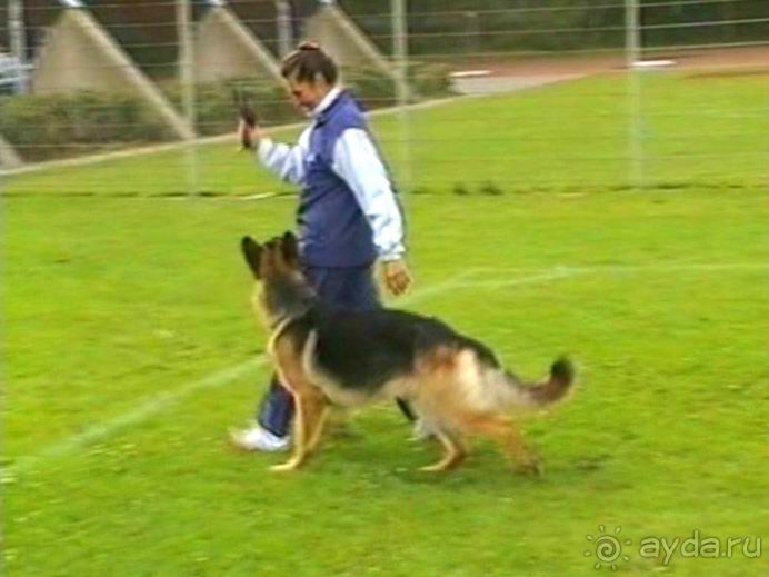 Окончание Зигера в Дюссельдорфе и возвращение домой