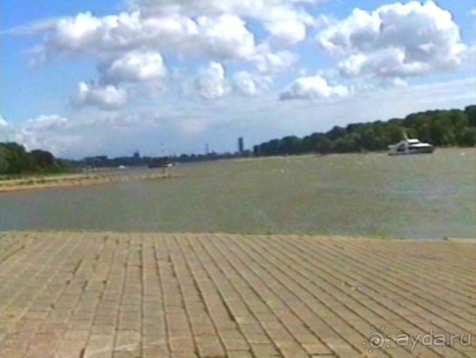 Окончание Зигера в Дюссельдорфе и возвращение домой