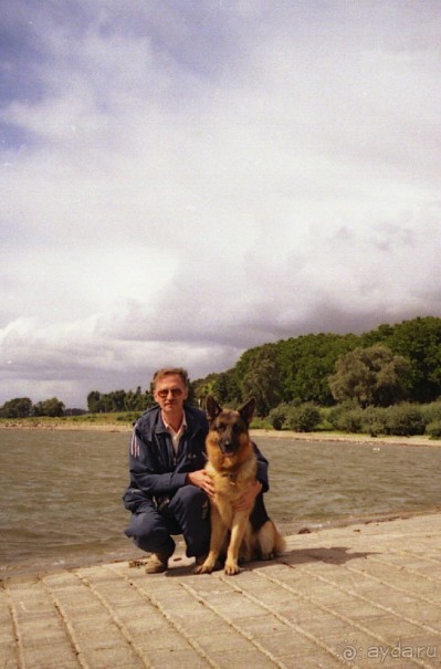 Окончание Зигера в Дюссельдорфе и возвращение домой