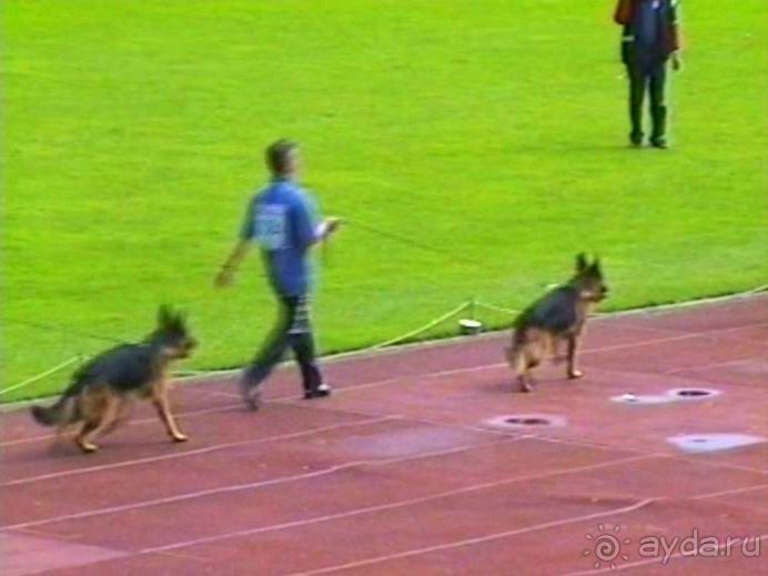 Окончание Зигера в Дюссельдорфе и возвращение домой