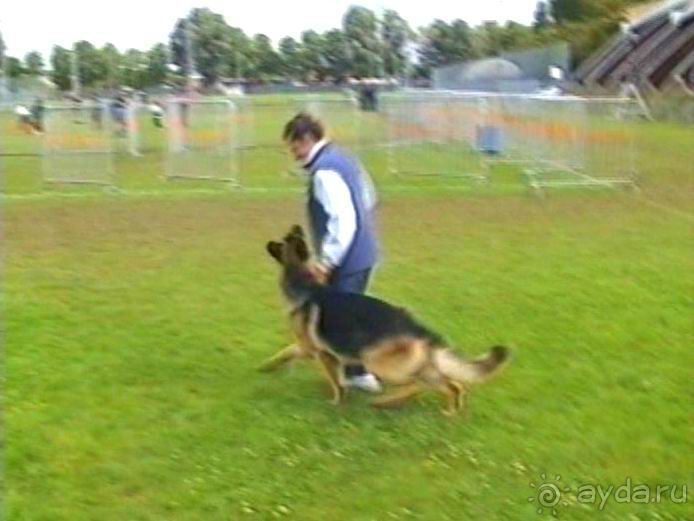 Окончание Зигера в Дюссельдорфе и возвращение домой