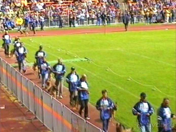 Окончание Зигера в Дюссельдорфе и возвращение домой