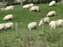 Шотландия Куинсферри – Англия Озерный край и Честер