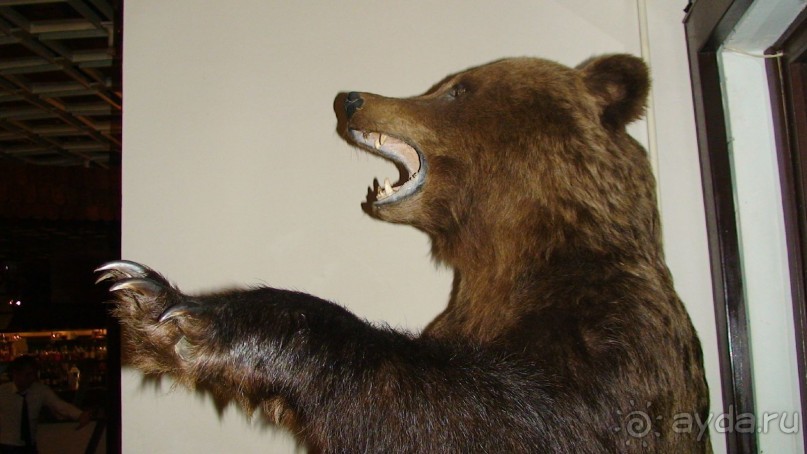 Кострома: А что посмотреть кроме Ипатьевского монастыря?