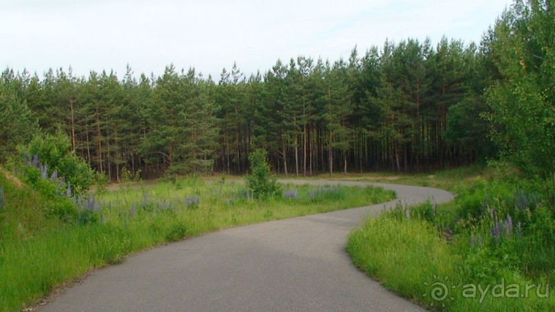 Кострома: А что посмотреть кроме Ипатьевского монастыря?