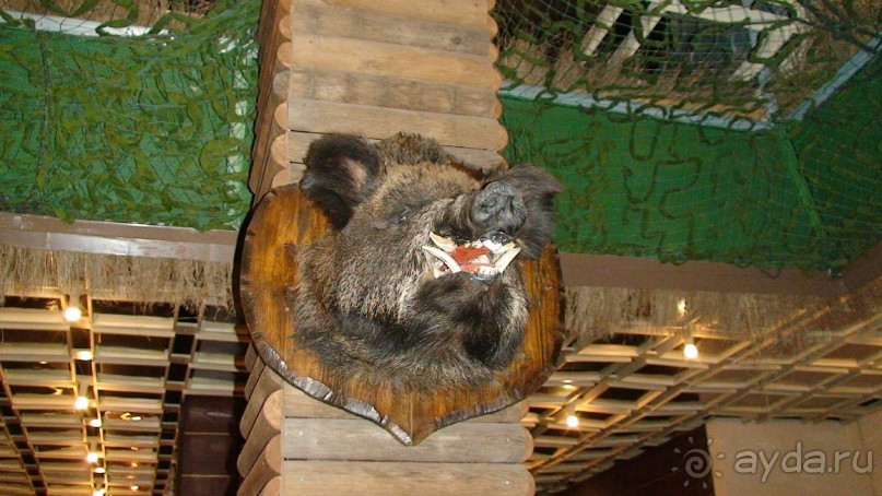 Кострома: А что посмотреть кроме Ипатьевского монастыря?