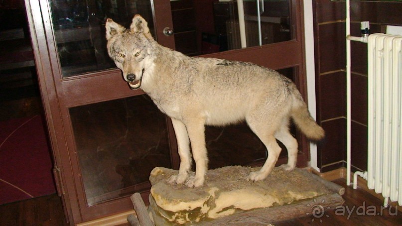 Кострома: А что посмотреть кроме Ипатьевского монастыря?