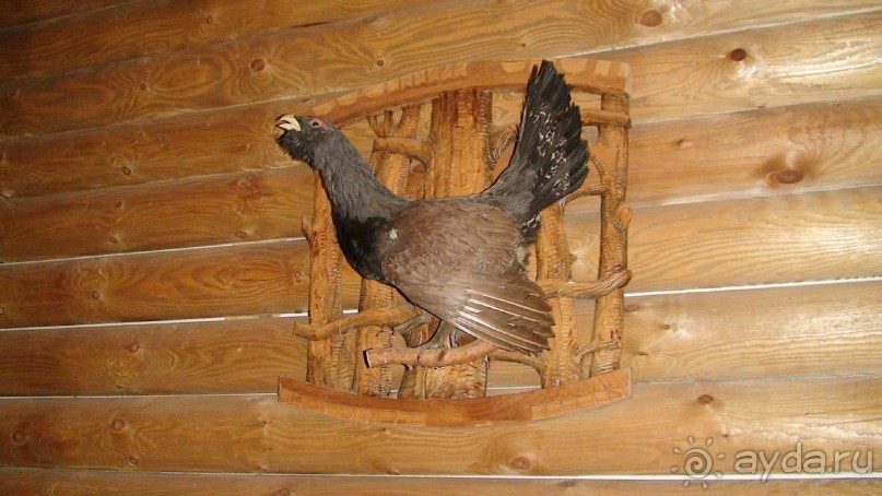 Кострома: А что посмотреть кроме Ипатьевского монастыря?