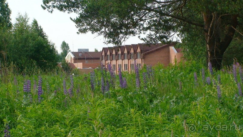 Кострома: А что посмотреть кроме Ипатьевского монастыря?