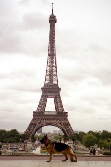 Париж – второй экскурсионный день