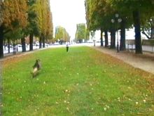 Альбом отзыва "Париж – второй экскурсионный день"