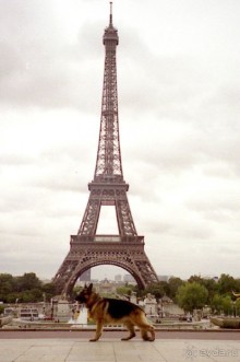 Альбом отзыва "Париж – второй экскурсионный день"
