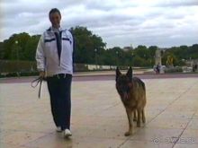 Альбом отзыва "Париж – второй экскурсионный день"