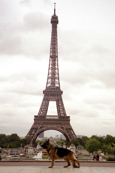 Париж – второй экскурсионный день