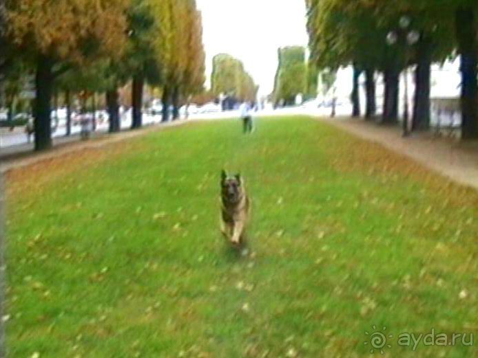 Париж – второй экскурсионный день