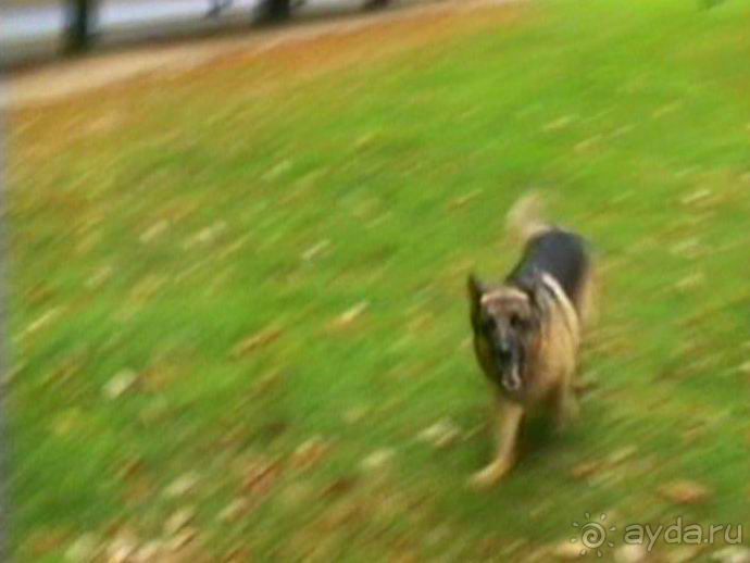 Париж – второй экскурсионный день