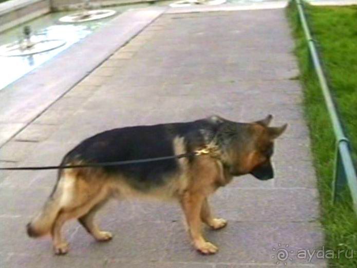 Париж – второй экскурсионный день