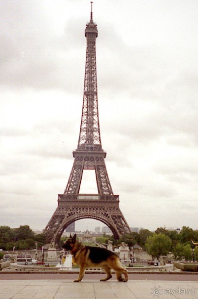 Париж – второй экскурсионный день