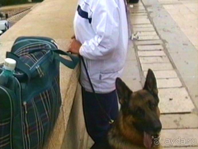 Париж – второй экскурсионный день